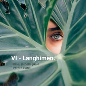VI - Langhimën.